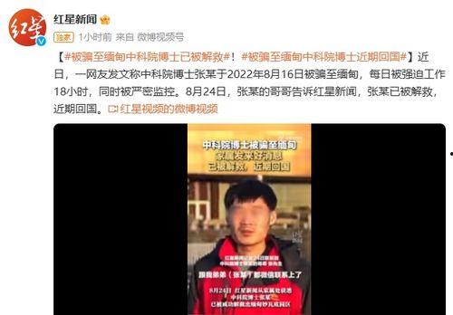 央视爆料缅甸诈骗视频播放,缅甸诈骗团伙真实操作，视频曝光惊心动魄内幕